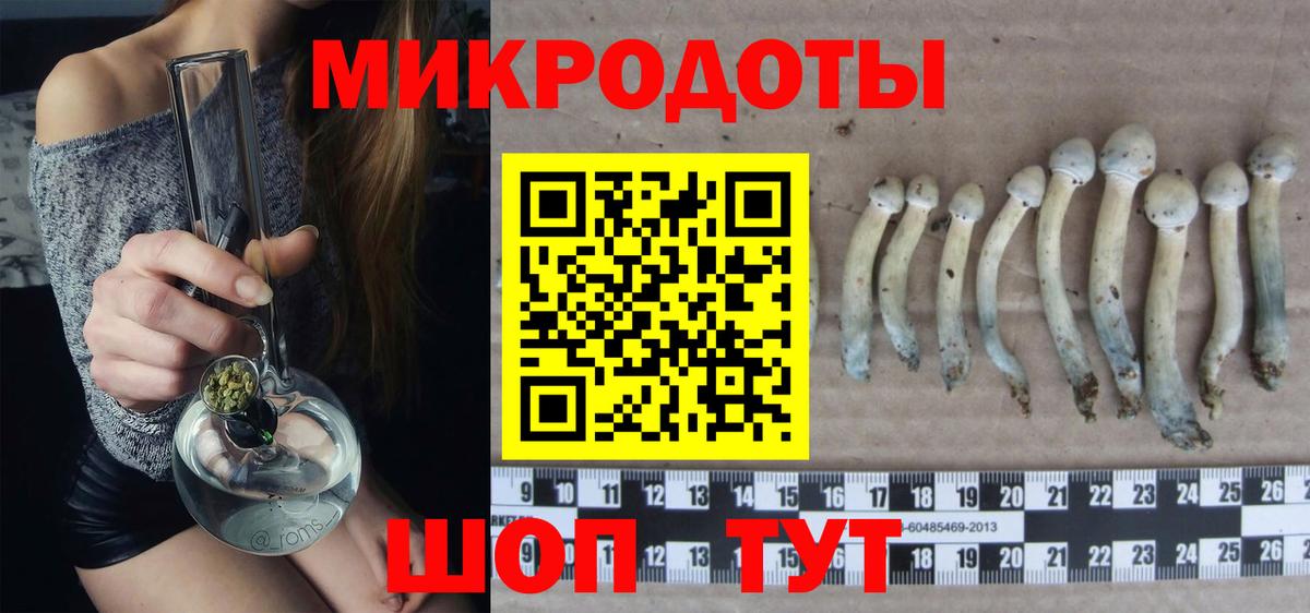 Галлюциногенные грибы Psilocybe  Вход с VPN  Псилоцибиновые грибы мухоморы  Чайковский 
